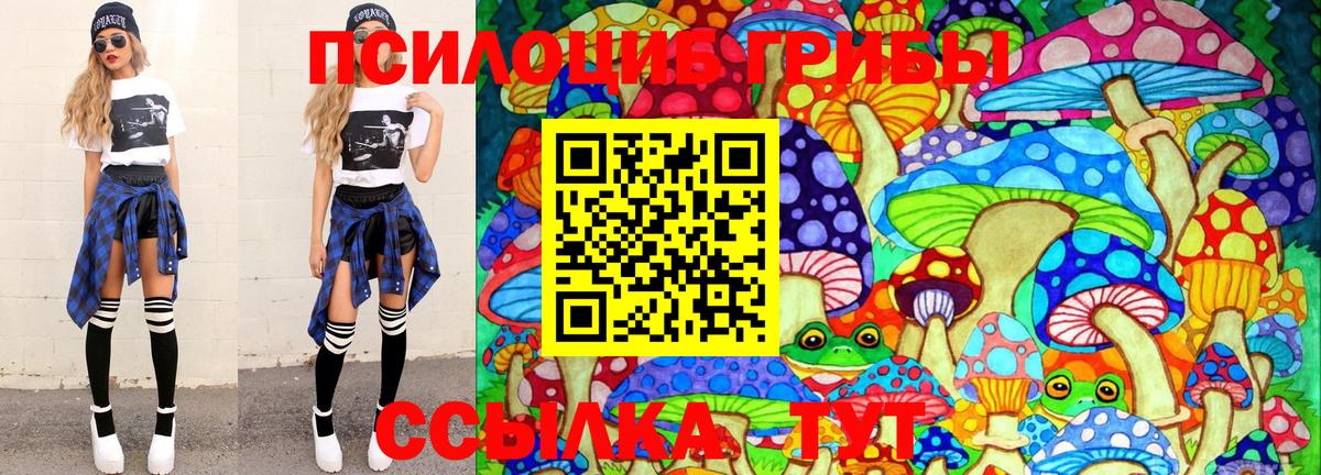 сколько стоит  Галлюциногенные грибы Psilocybe  Вход с VPN  Кулебаки 